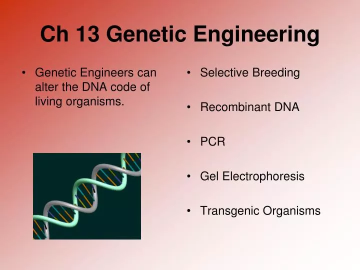 ch 13 genetic engineering