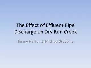 The Effect of Effluent Pipe Discharge on Dry Run Creek