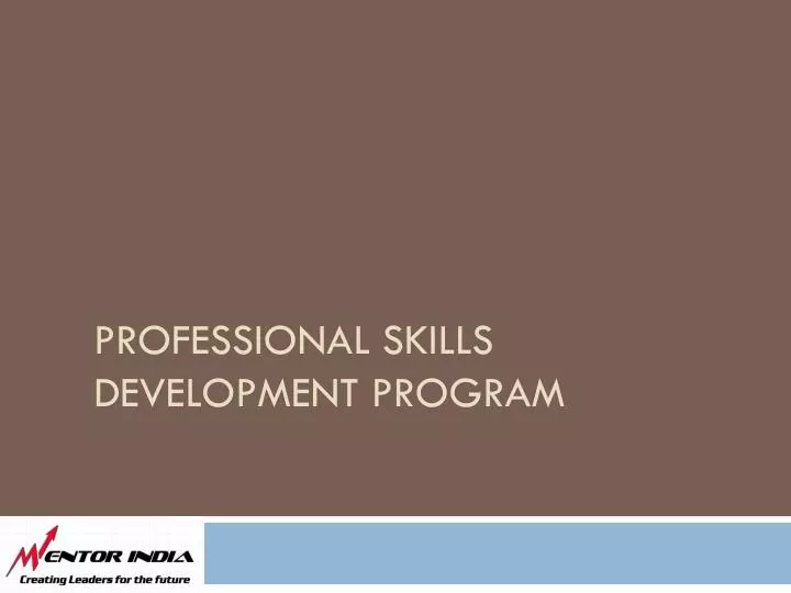 professional skills development program