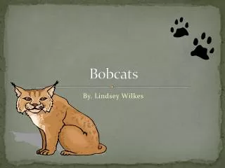 Bobcats