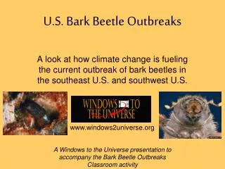 U.S. Bark Beetle Outbreaks