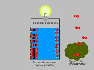 Fluid Waste