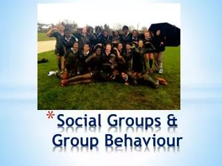 Social Groups &amp; Group Behaviour