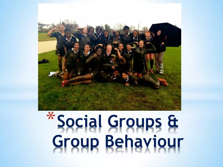 social groups group behaviour