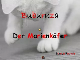 b u b u r u z a d e r m a r i e n k f e r