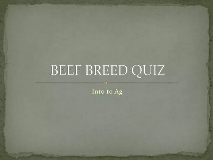 beef breed quiz