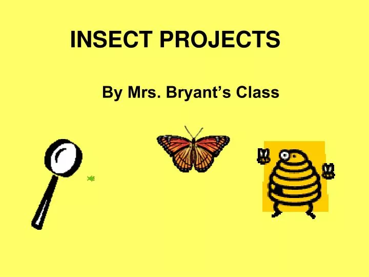 insect projects