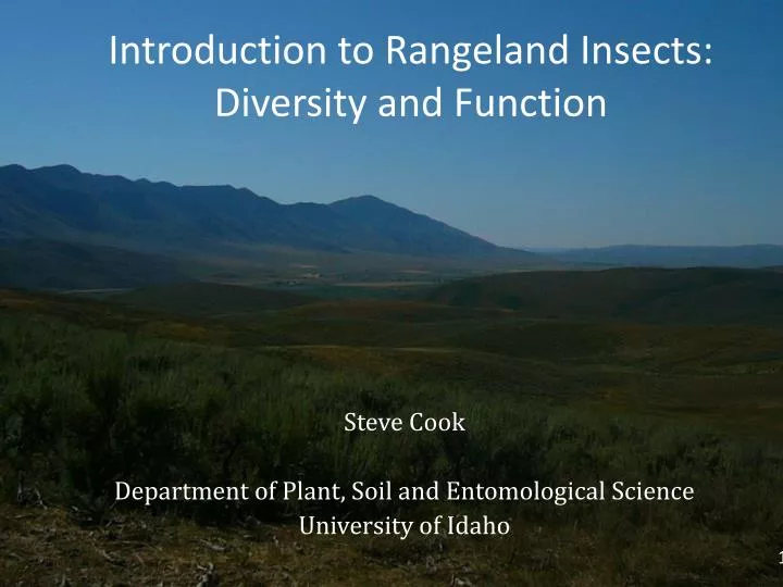 introduction to rangeland insects diversity and function