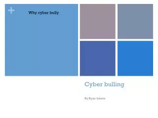 Cyber bulling