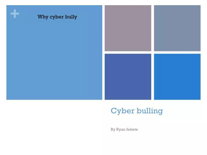 cyber bulling