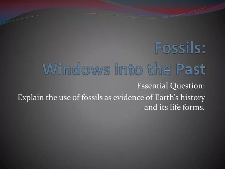fossils windows into the past