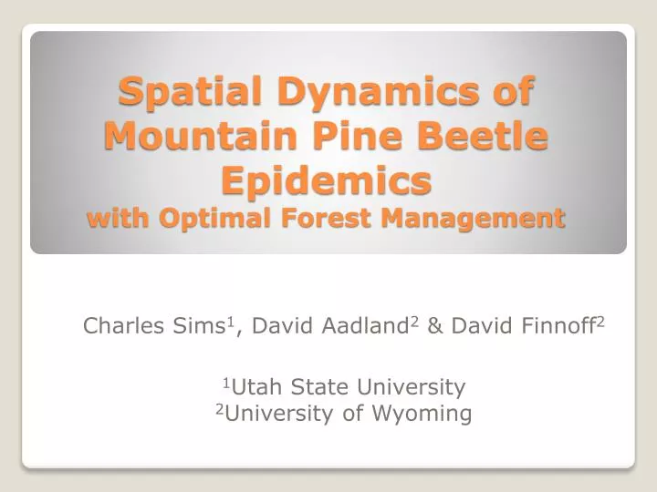 spatial dynamics of mountain pine beetle epidemics with optimal forest management