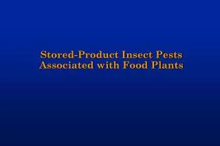 Stored-Product Insect Pests Associated with Food Plants