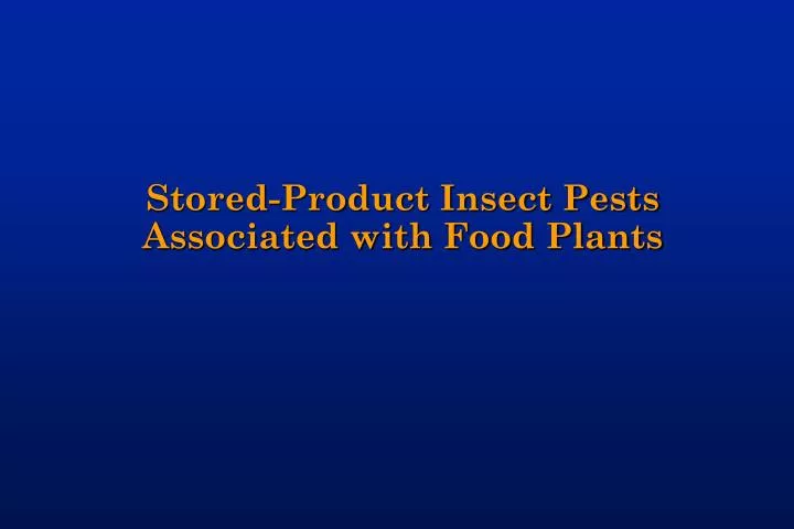 stored product insect pests associated with food plants