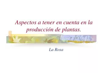 la rosa