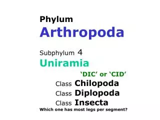 Phylum Arthropoda Subphylum 4 Uniramia ‘DIC’ or ‘CID’ 	Class Chilopoda 	Class Diplopoda