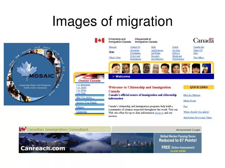 images of migration