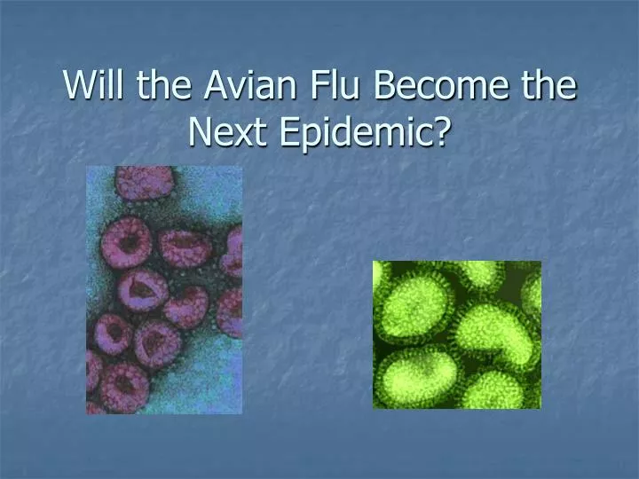 will the avian flu become the next epidemic