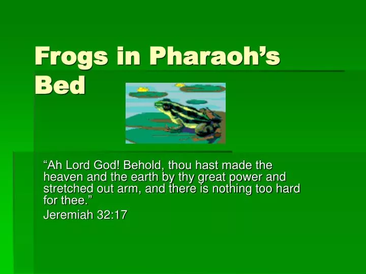 frogs in pharaoh s bed