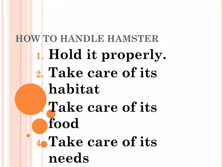 how to handle hamster