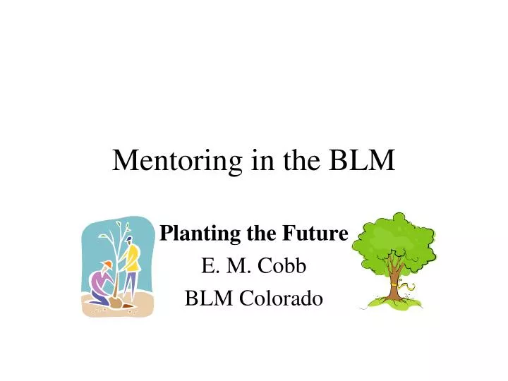 mentoring in the blm