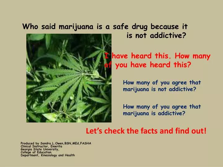who said marijuana is a safe drug because it is not addictive