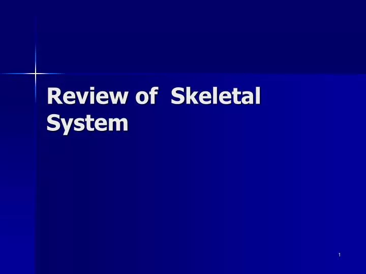 review of skeletal system