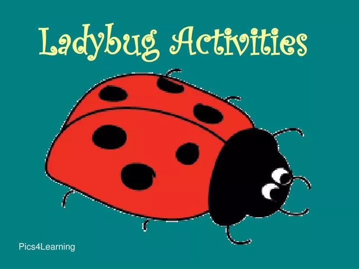 ladybug activities