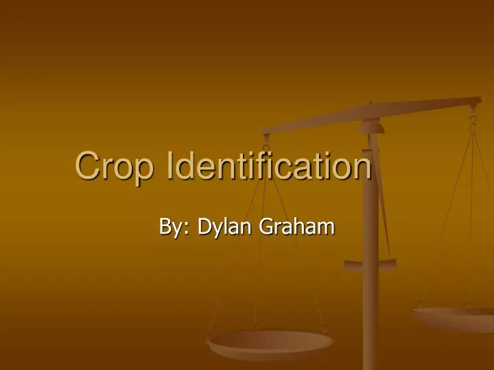 crop identification