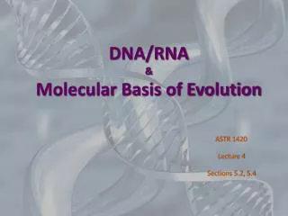 DNA/RNA &amp; Molecular Basis of Evolution