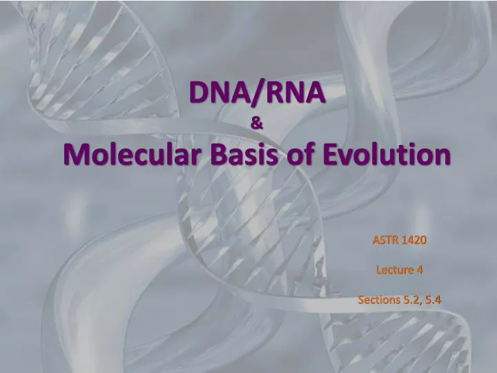 dna rna molecular basis of evolution
