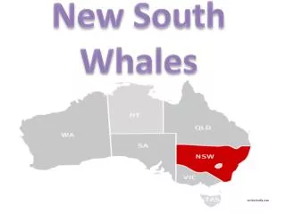 New South Whales