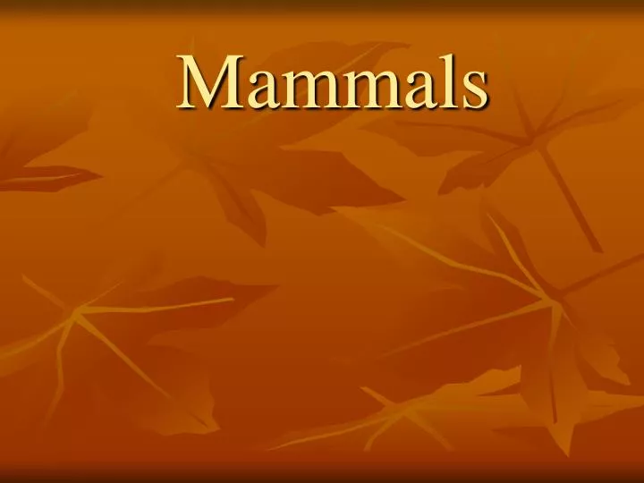 mammals