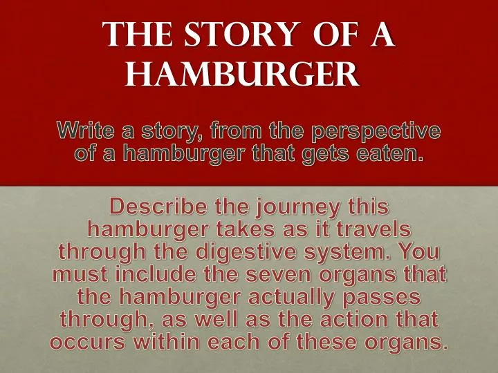 the story of a hamburger