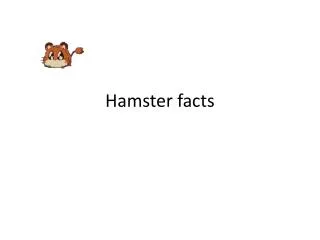 Hamster facts