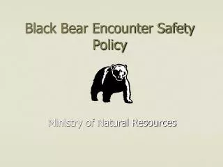 Black Bear Encounter Safety Policy