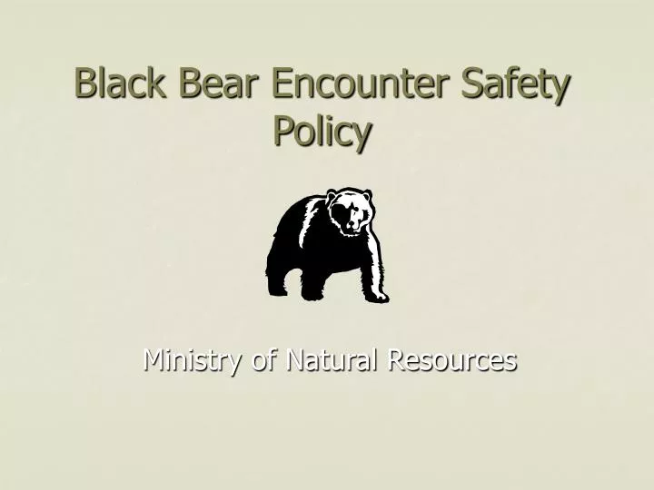 black bear encounter safety policy