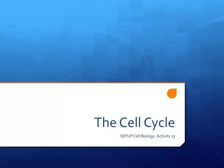 the cell cycle