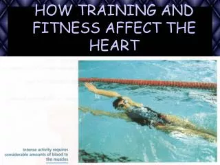HOW TRAINING AND FITNESS AFFECT THE HEART