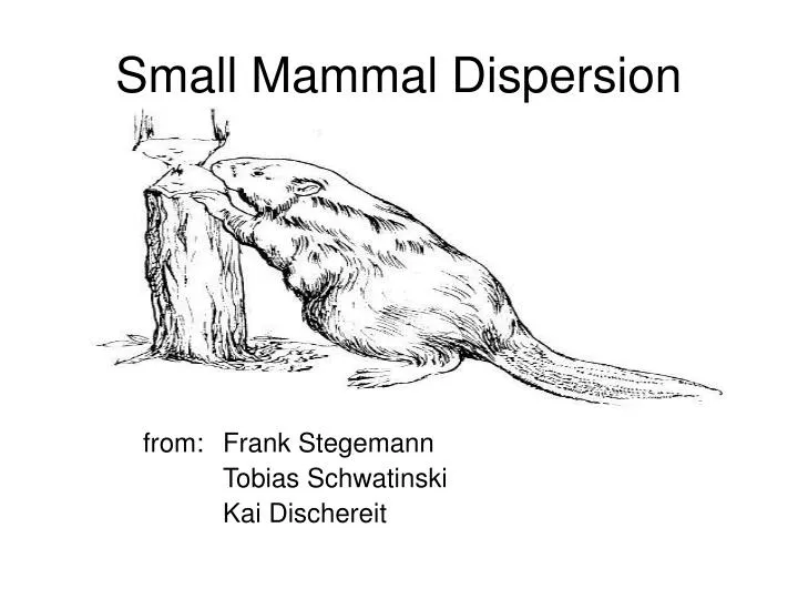 small mammal dispersion