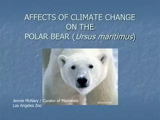 AFFECTS OF CLIMATE CHANGE ON THE POLAR BEAR ( Ursus maritimus )