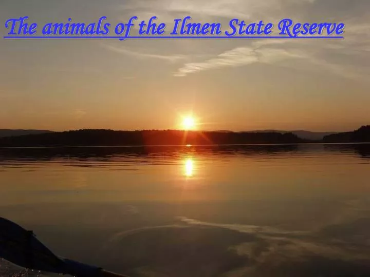 the animals of the ilmen state reserve