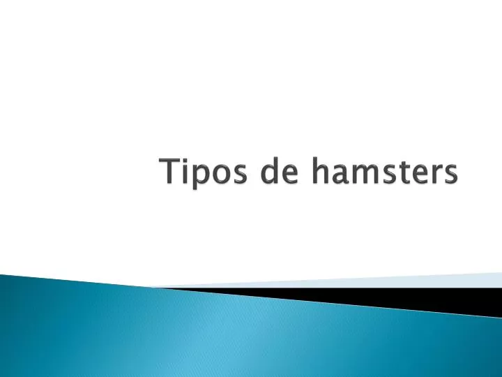 PPT - All About Hamsters PowerPoint Presentation, free download - ID:108105