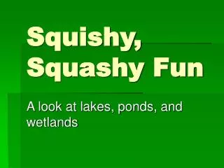Squishy, Squashy Fun