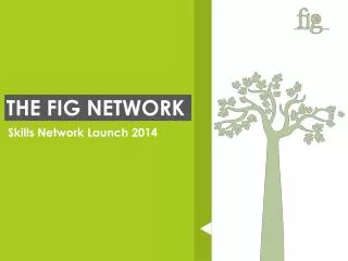 THE FIG NETWORK