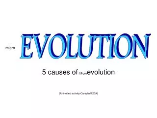 5 causes of Micro evolution (Animated activity-Campbell 23A)