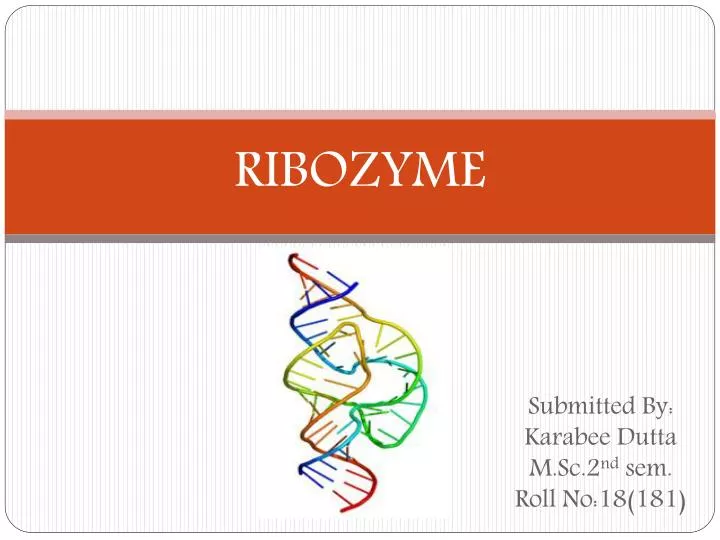 What is deals a ribozyme