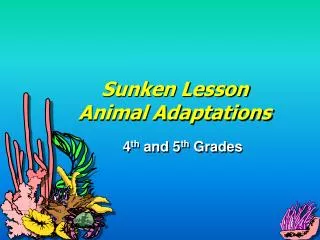 Sunken Lesson Animal Adaptations