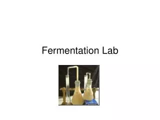 Fermentation Lab