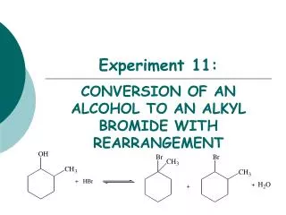 Experiment 11: